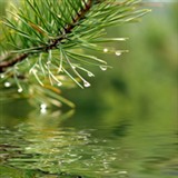 Natürlich rein – Hautpflege aus der Natur