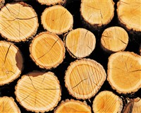 Holz fühlt sich einfach warm an. Ideal also für einen Wärmekissen